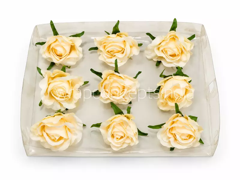Vanilla Glow Rose