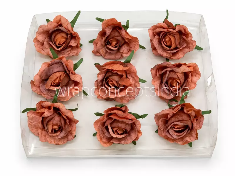 Cinnamon Blush Rose