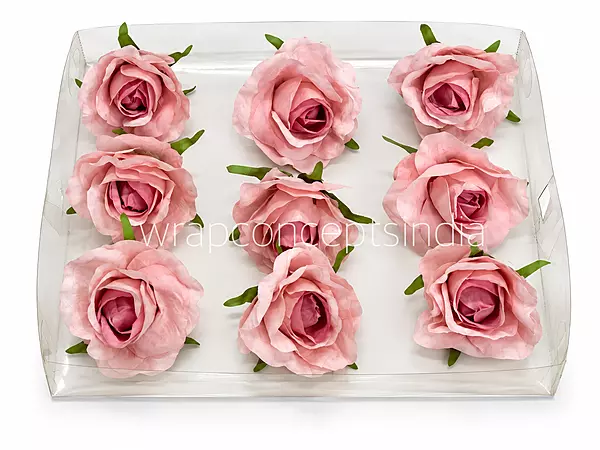 Blush Charm Rose