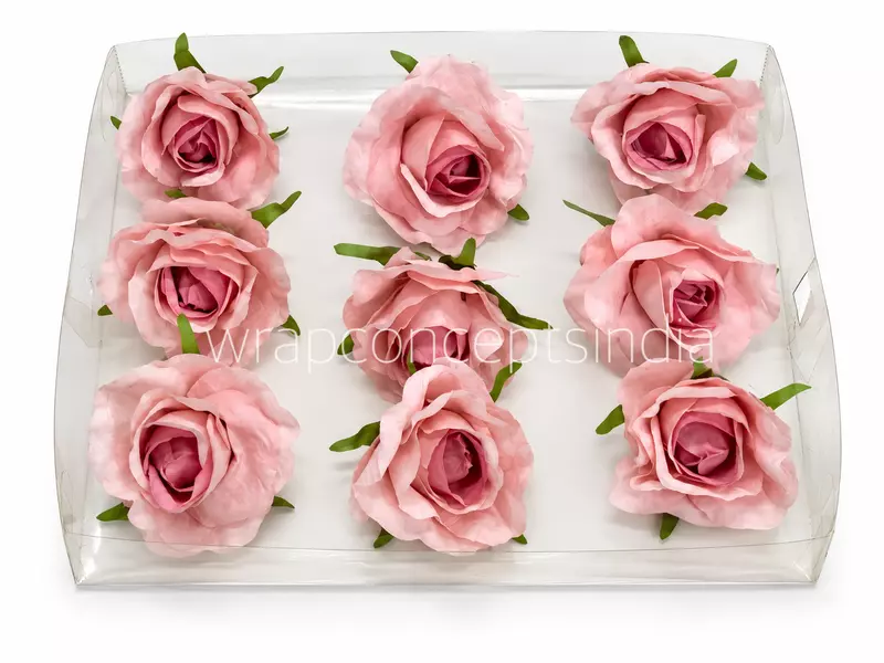 Blush Charm Rose