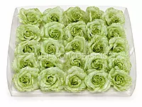 Sage Sparkle Rose