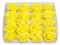 Citrus Sparkle Rose
