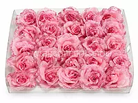 Blush Sparkle Rose