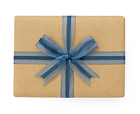 Sheer Ribbon with Centre Strip