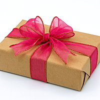 Sheer Ribbon with Gold Wired Edges