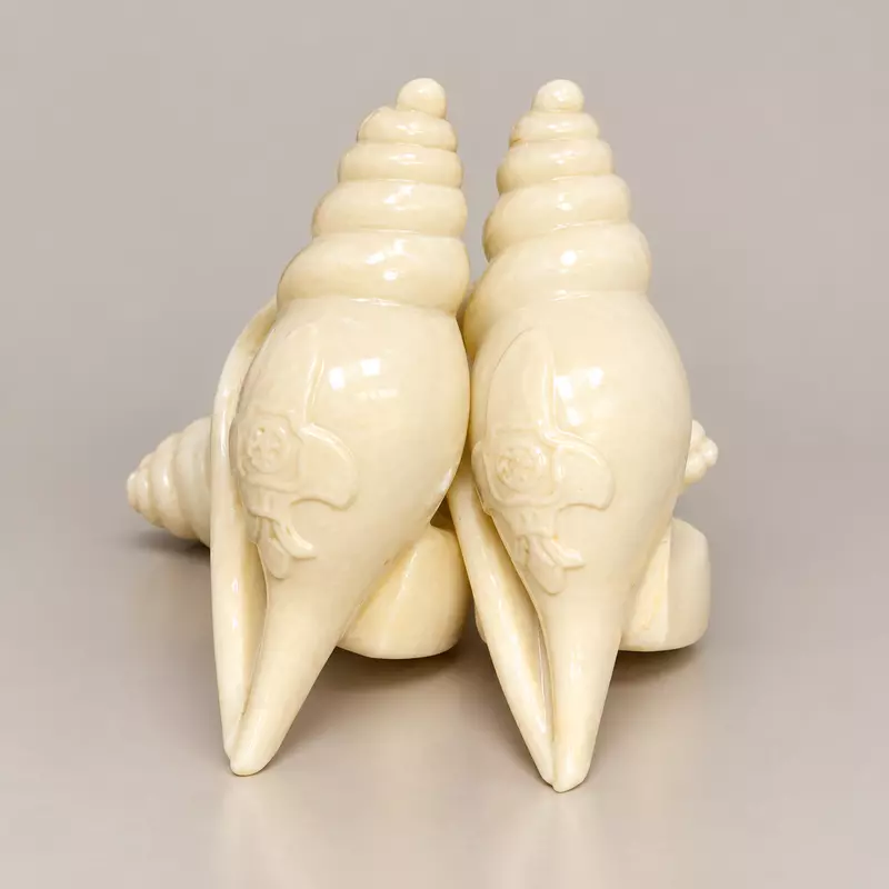 Woggle Shankh