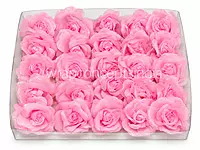 Candy Sparkle Rose