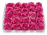 Fuchsia Sparkle Rose