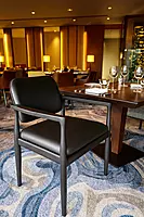 Fern Dining Arm Chair