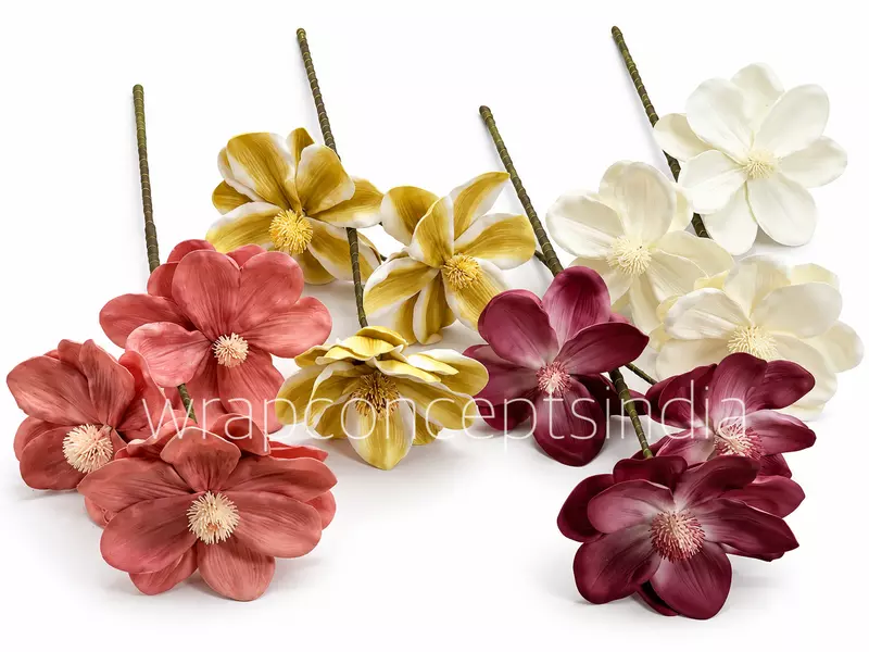 Blooming Magnolia Collection