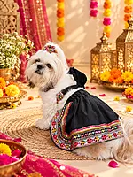 Navratri/ Garba Special Lehenga Choli for Pets