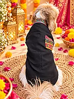 Navratri/ Garba Special Kurta for Pets