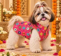 Gulabo Multicolor Festive Jacket