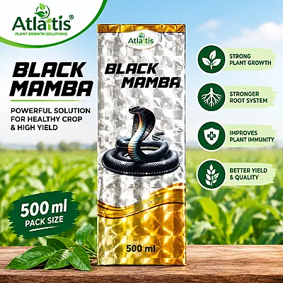 Atlantis Black Mamba Bio Insecticide | BlackThrips Control in Chilli