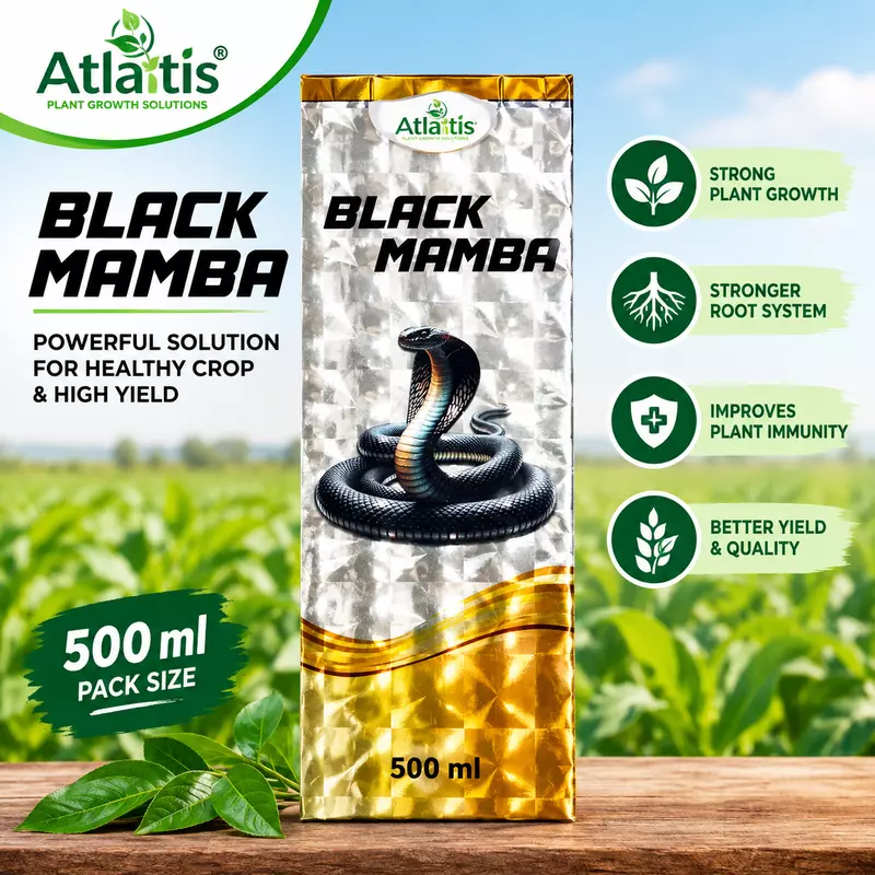 Atlantis Black Mamba Bio Insecticide | BlackThrips Control in Chilli
