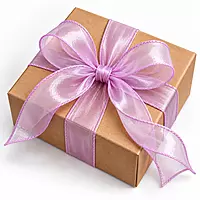 Sheer Elegance Organza Ribbon