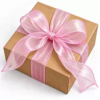 Sheer Elegance Organza Ribbon