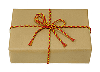 3MM Dual Tone Twisted Chord with Pearls - 10 Yards