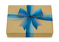 Sky Blue to White Ombré Sheer (2.5 & 4 cms)