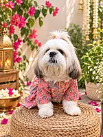 Coral-pink Anarkali frock for Dogs and Cats