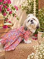 Coral-pink Anarkali frock for Dogs and Cats