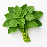 Cheera Thoran MIX (Green)