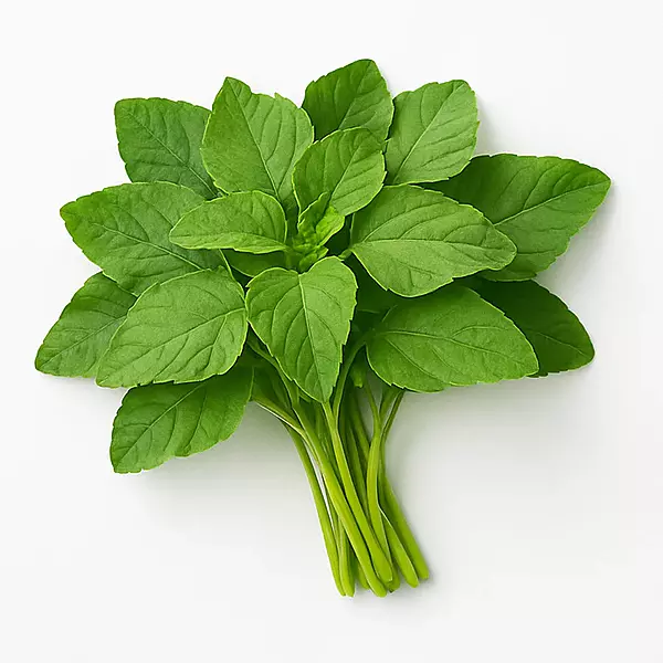 Cheera Thoran MIX (Green)