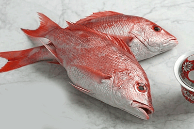 Chempalli(Red-Snapper) Chempalli(Red-Snapper)