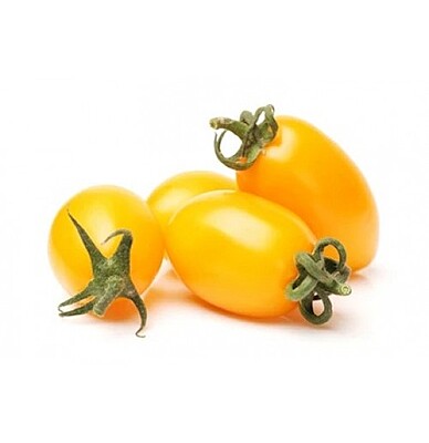 Cherry Tomato (Yellow) – Golden Sweetness in Every Bite