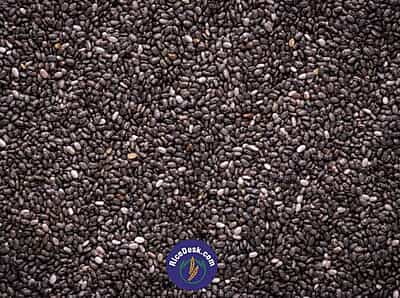 Chia Seeds Chia Seeds