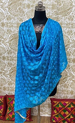 Chiffon Phulkari Dupatta - 10