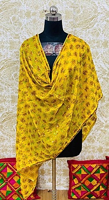 Chiffon Phulkari Dupatta - 11