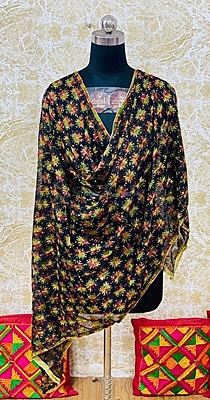 Chiffon Phulkari Dupatta - 2