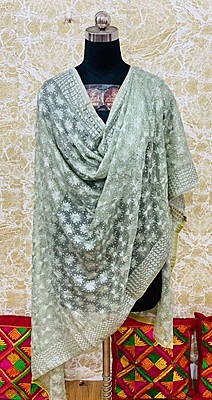 Chiffon Phulkari Dupatta - 8