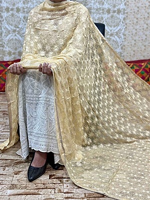 Chiffon Phulkari Dupatta Catalogue 3 - Beige Chiffon Phulkari Dupatta Catalogue 3 - Beige