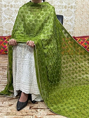 Chiffon Phulkari Dupatta Catalogue 3 - Green Chiffon Phulkari Dupatta Catalogue 3 - Green