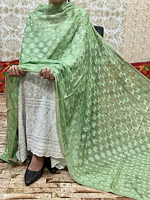 Chiffon Phulkari Dupatta Catalogue 3 - Pista Chiffon Phulkari Dupatta Catalogue 3 - Pista