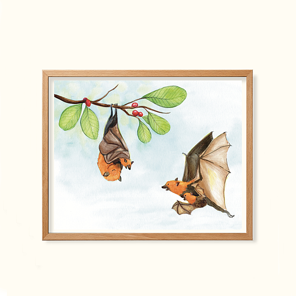 Flying Fox- Childhood in the wild