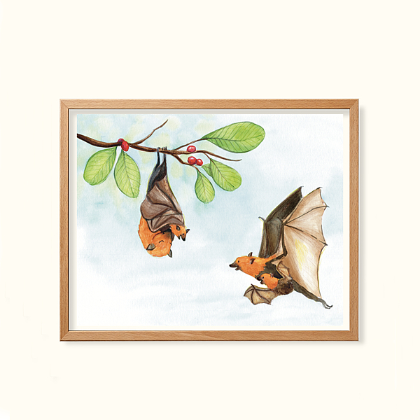 Flying Fox- Childhood in the wild