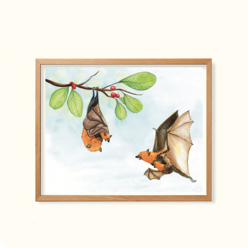 Flying Fox- Childhood in the wild