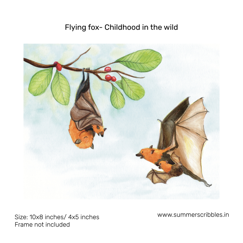Flying Fox- Childhood in the wild