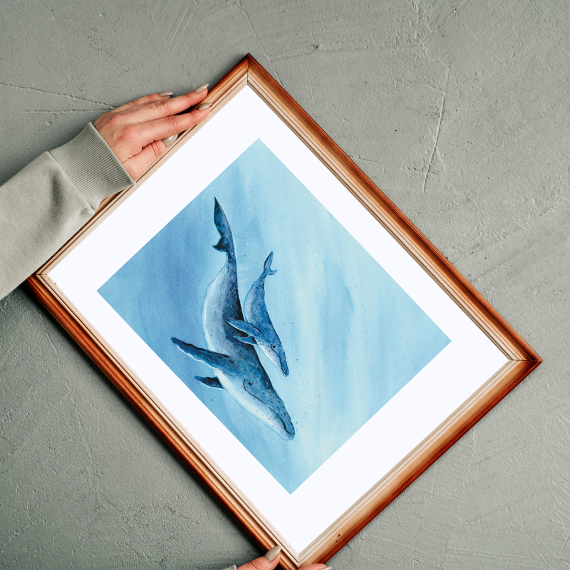 Humpback whale- Childhood in the wild