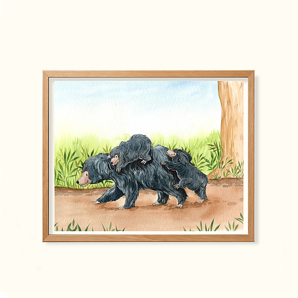 Sloth bear -Childhood in the wild
