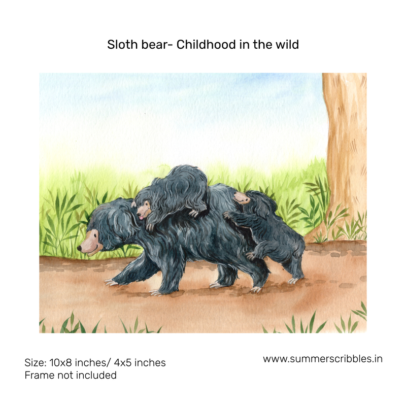 Sloth bear -Childhood in the wild