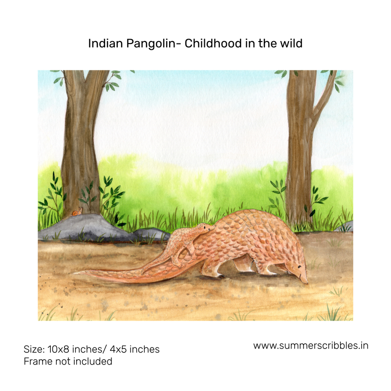 Indian Pangolin- Childhood in the wild