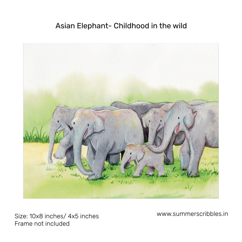 Indian Elephant – Childhood in the Wild