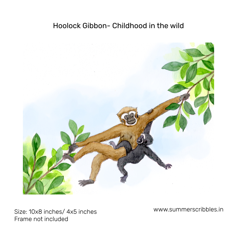 Hoolock Gibbon- Childhood in the wild