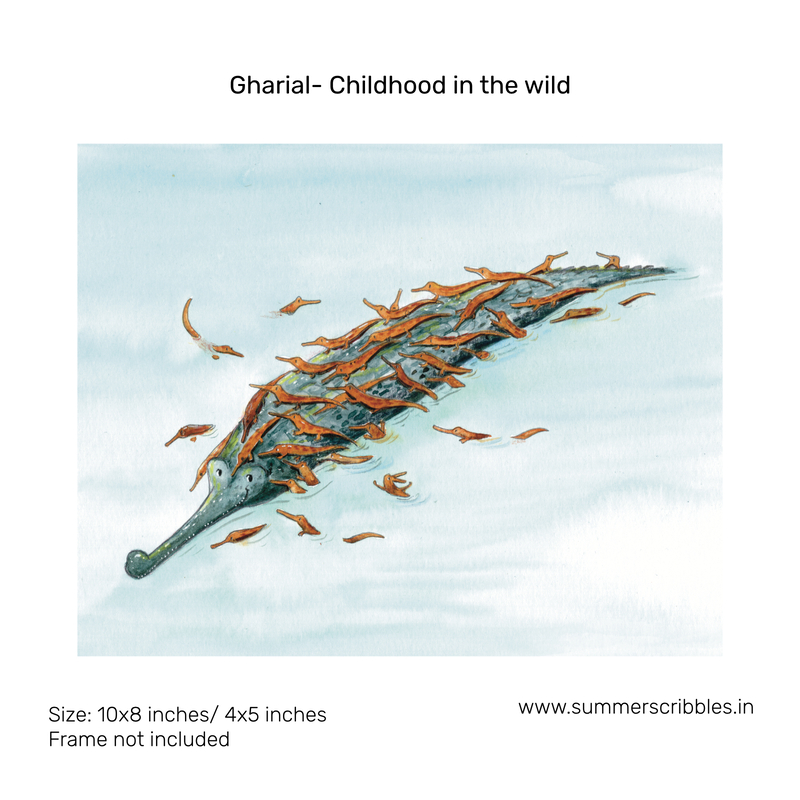 Gharial- Childhood in the wild