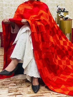 Chinon Multi Jaal Phulkari Dupatta - 10