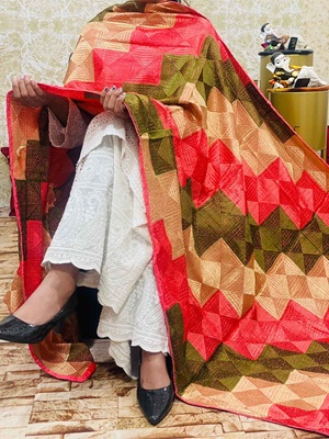 Chinon Multi Jaal Phulkari Dupatta - 2